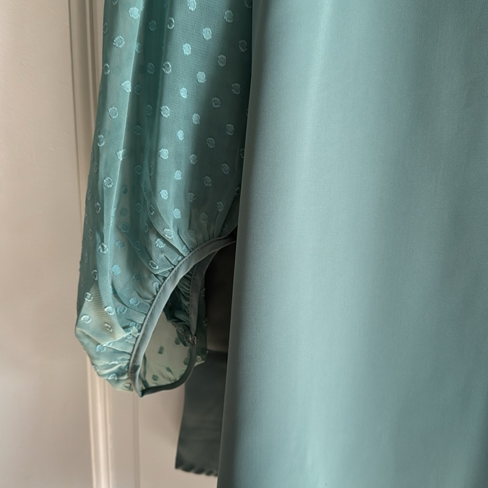 Homie Teal V-Neck Blouse with Sheer Dot Sleeves - Picture 3 of 5